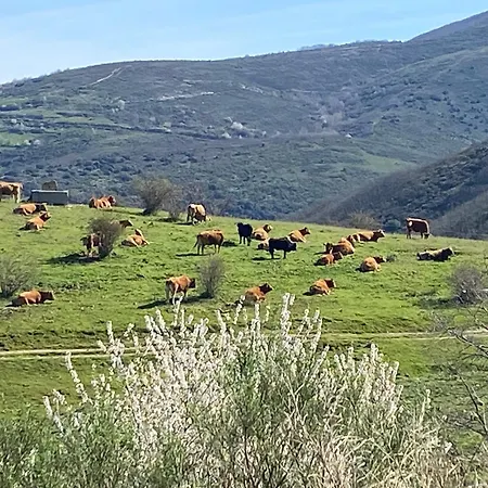 La Casita De Chocolate - Encanto Rural En Espinoso De Compludo - El Bierzo
